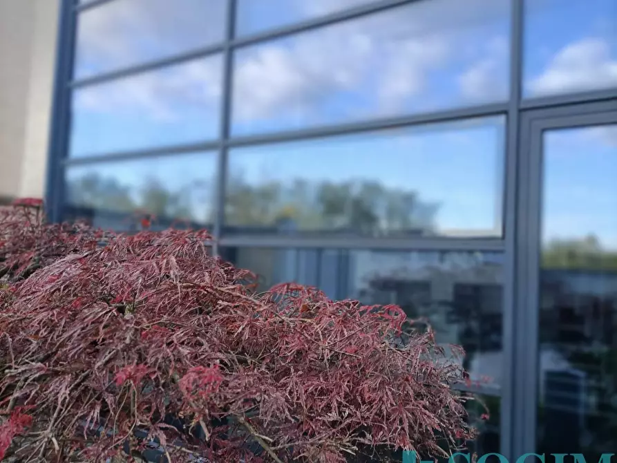 Immagine 29 di Ufficio in affitto  in Via dell'artigianato a Lissone