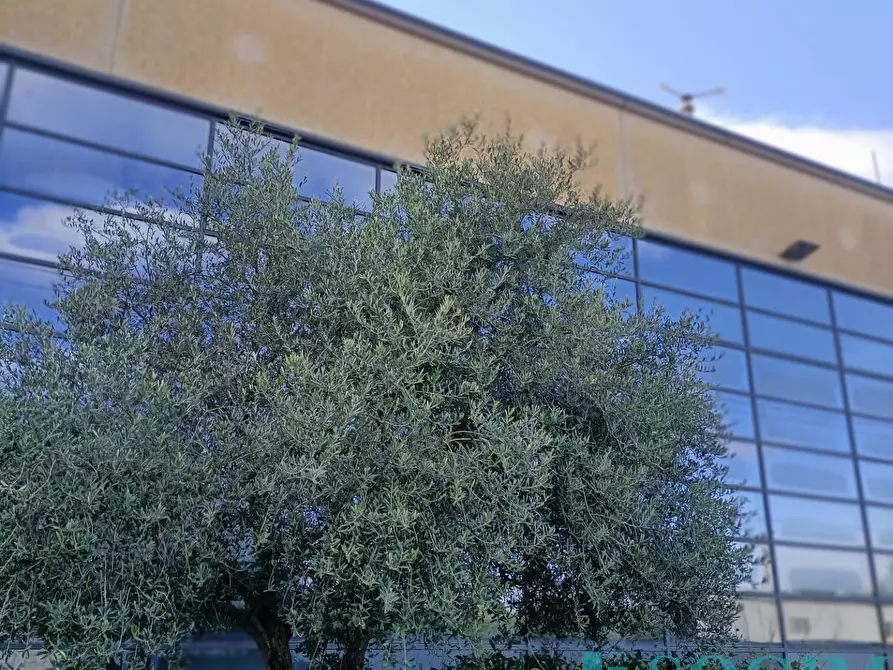 Immagine 30 di Ufficio in affitto  in Via dell'artigianato a Lissone