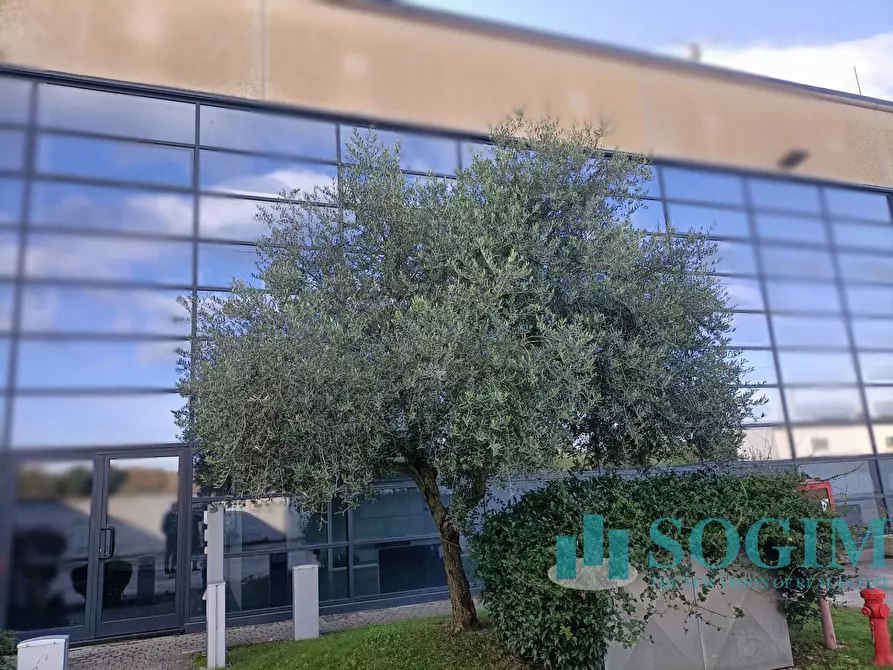 Immagine 7 di Ufficio in affitto  in Via dell'artigianato a Lissone