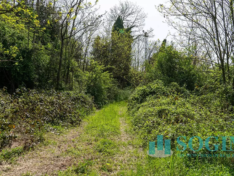 Immagine 5 di Terreno industriale in vendita  in Via Bengasi a Cantù