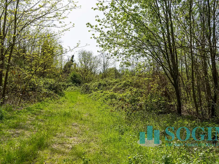 Immagine 8 di Terreno industriale in vendita  in Via Bengasi a Cantù