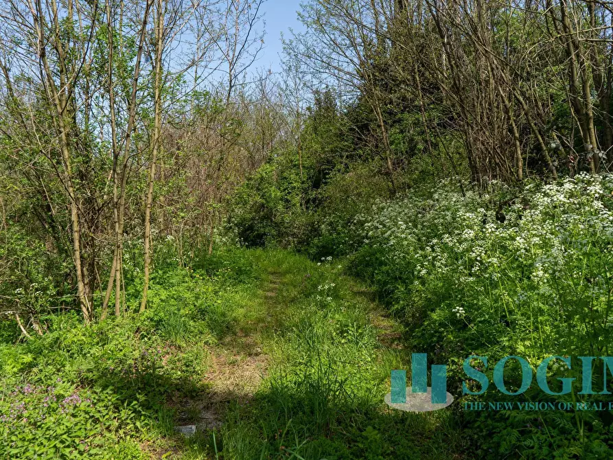 Immagine 12 di Terreno industriale in vendita  in Via Bengasi a Cantù