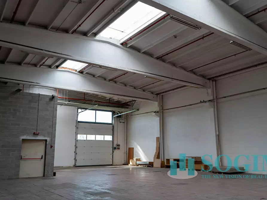 Immagine 3 di Capannone industriale in affitto  in Via Tettamanti a Colverde