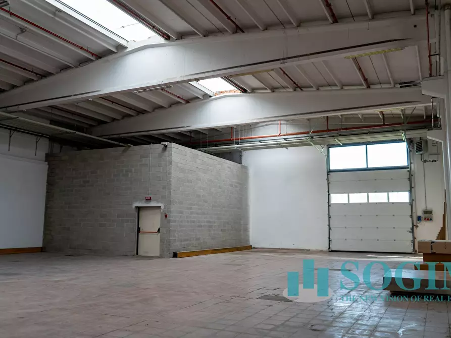 Immagine 4 di Capannone industriale in affitto  in Via Tettamanti a Colverde