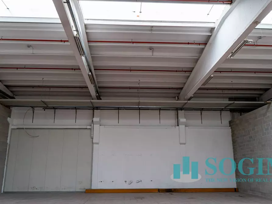 Immagine 5 di Capannone industriale in affitto  in Via Tettamanti a Colverde