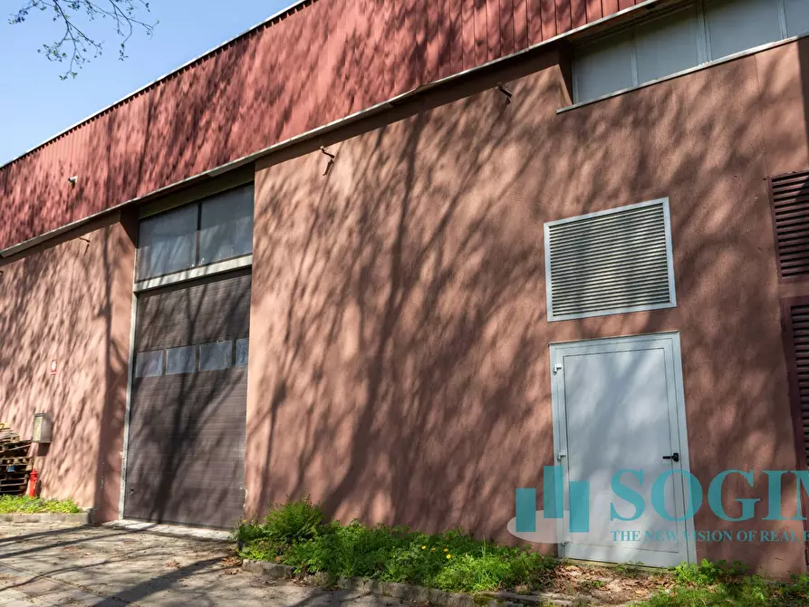 Immagine 13 di Capannone industriale in affitto  in Via Tettamanti a Colverde