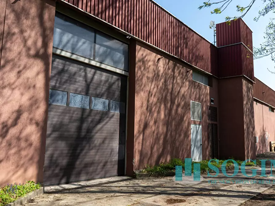 Immagine 14 di Capannone industriale in affitto  in Via Tettamanti a Colverde