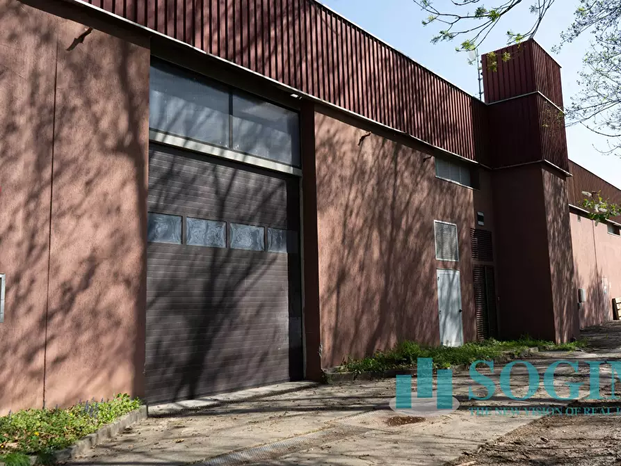 Immagine 15 di Capannone industriale in affitto  in Via Tettamanti a Colverde