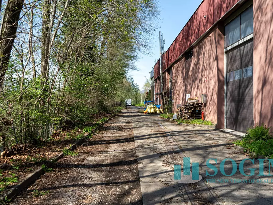 Immagine 16 di Capannone industriale in affitto  in Via Tettamanti a Colverde