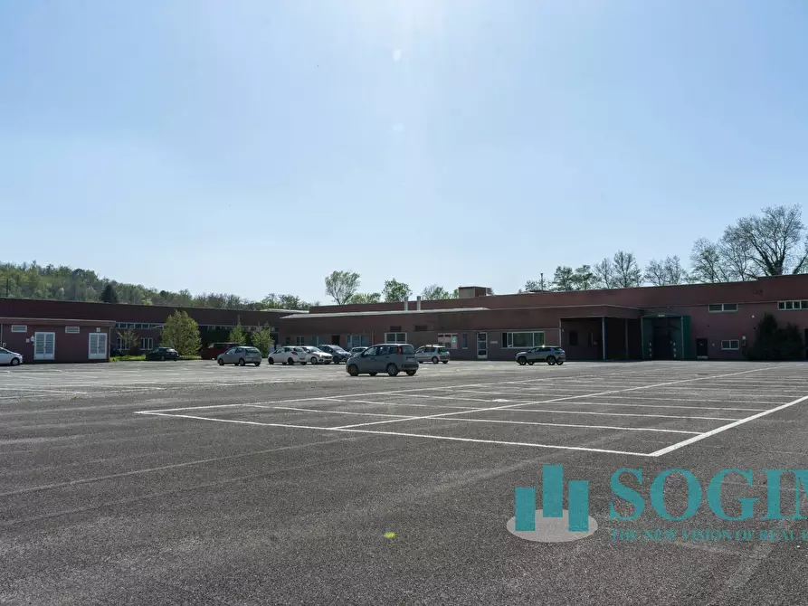 Immagine 19 di Capannone industriale in affitto  in Via Tettamanti a Colverde