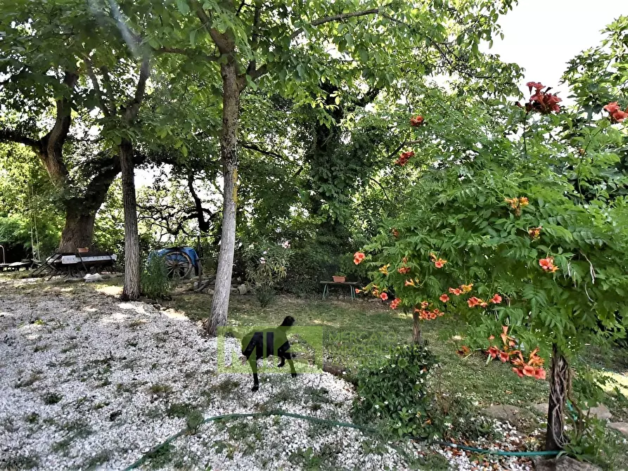 Immagine 27 di Casa indipendente in vendita  in villa botundoli a Amandola