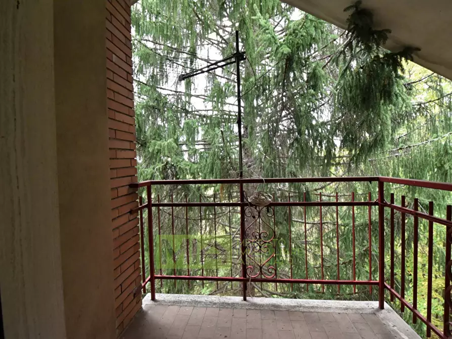 Immagine 21 di Casa indipendente in vendita  in via f. durante a Montefortino