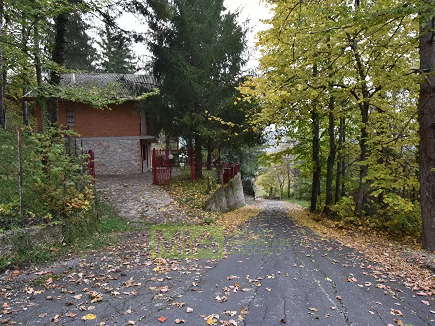 Immagine 30 di Casa indipendente in vendita  in via f. durante a Montefortino