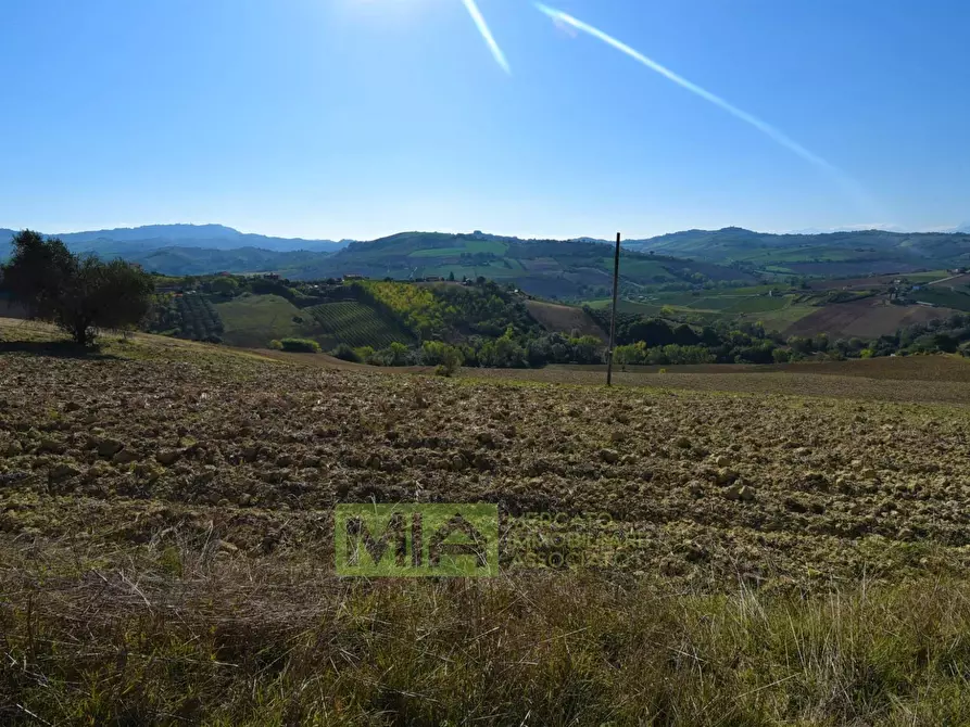 Immagine 5 di Rustico / casale in vendita  in contrada corneto a Carassai
