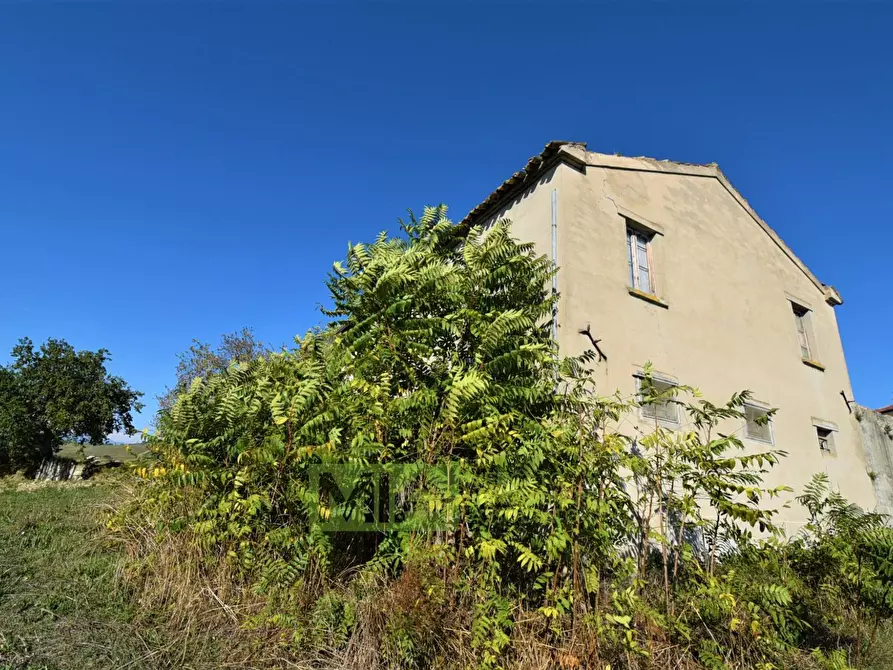 Immagine 3 di Rustico / casale in vendita  in contrada corneto a Carassai