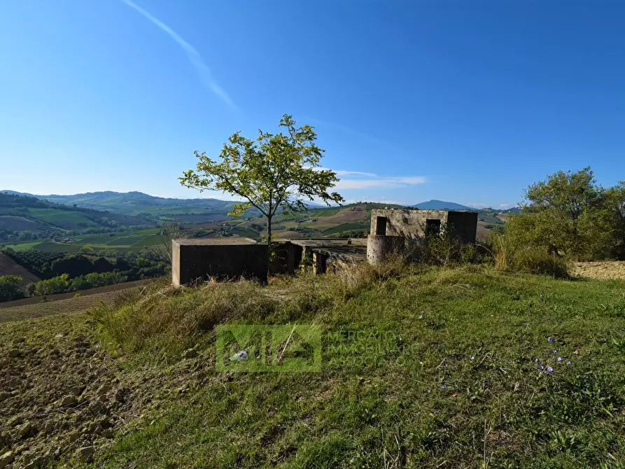 Immagine 4 di Rustico / casale in vendita  in contrada corneto a Carassai