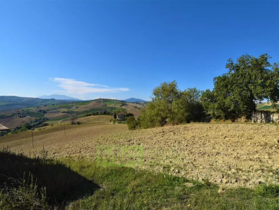 Immagine 6 di Rustico / casale in vendita  in contrada corneto a Carassai