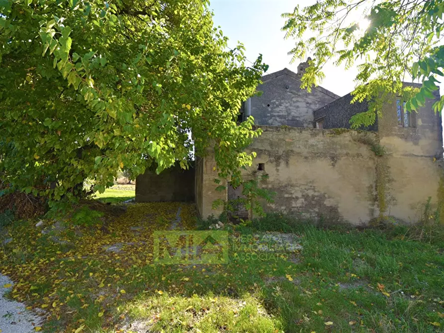 Immagine 8 di Rustico / casale in vendita  in contrada corneto a Carassai