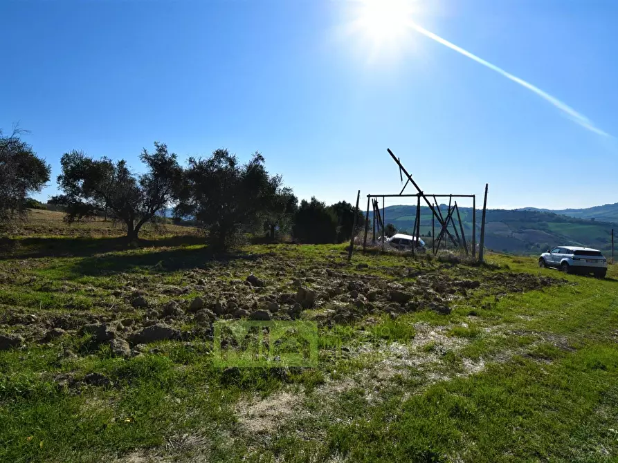 Immagine 9 di Rustico / casale in vendita  in contrada corneto a Carassai