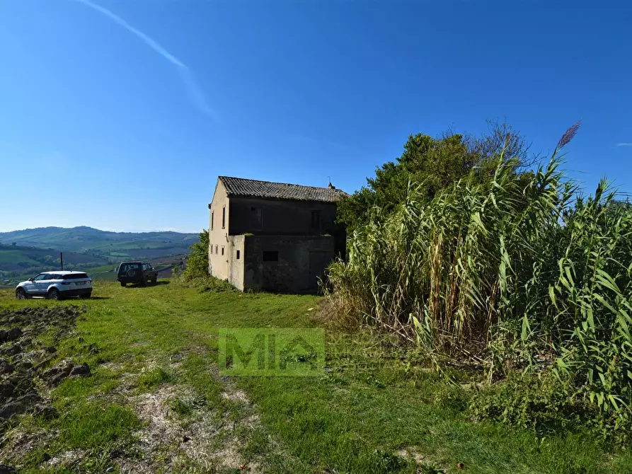Immagine 10 di Rustico / casale in vendita  in contrada corneto a Carassai