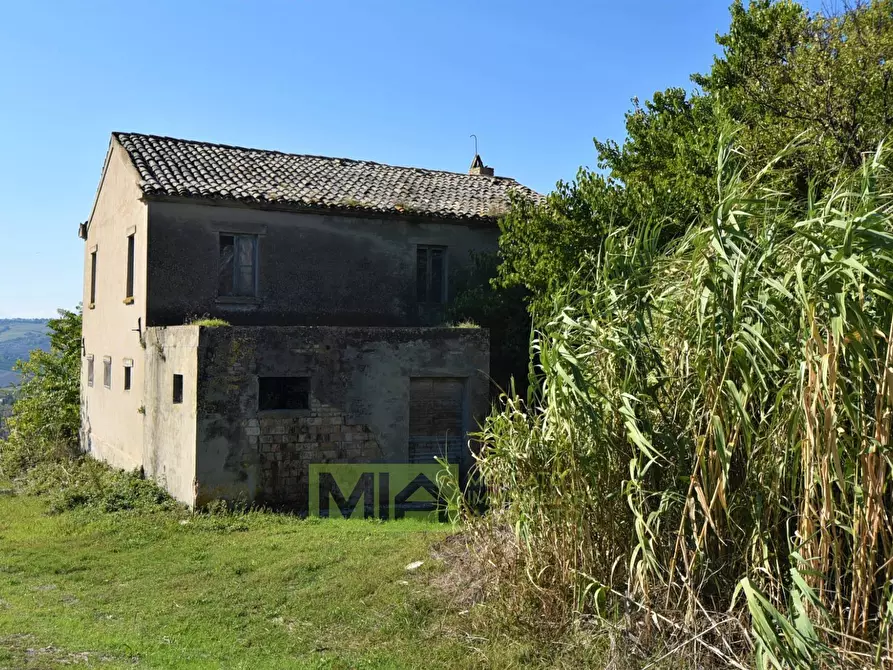Immagine 2 di Rustico / casale in vendita  in contrada corneto a Carassai