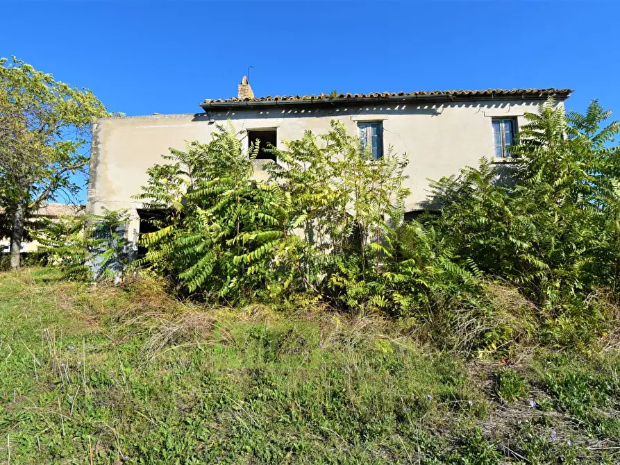 Immagine 11 di Rustico / casale in vendita  in contrada corneto a Carassai