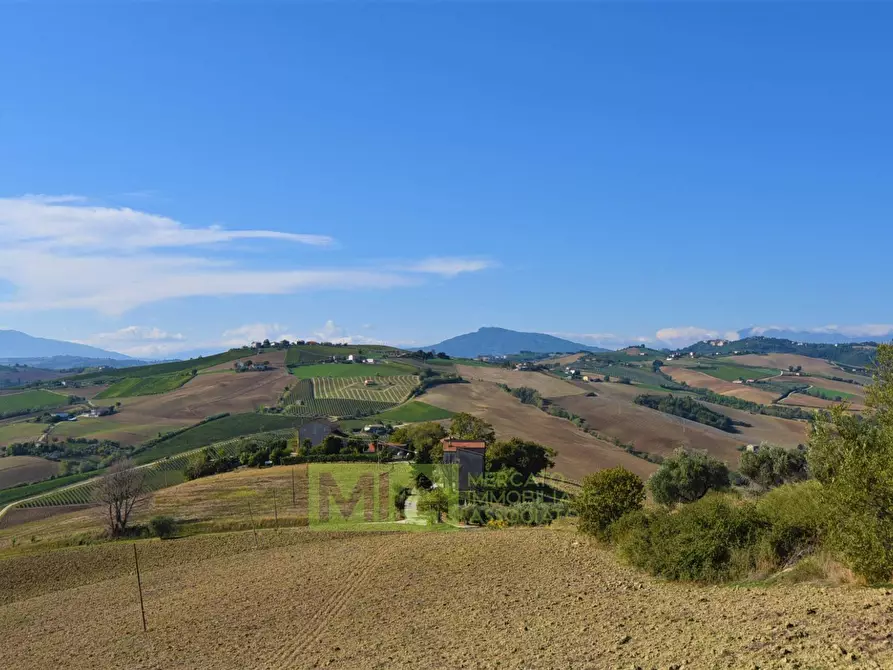Immagine 19 di Rustico / casale in vendita  in contrada corneto a Carassai