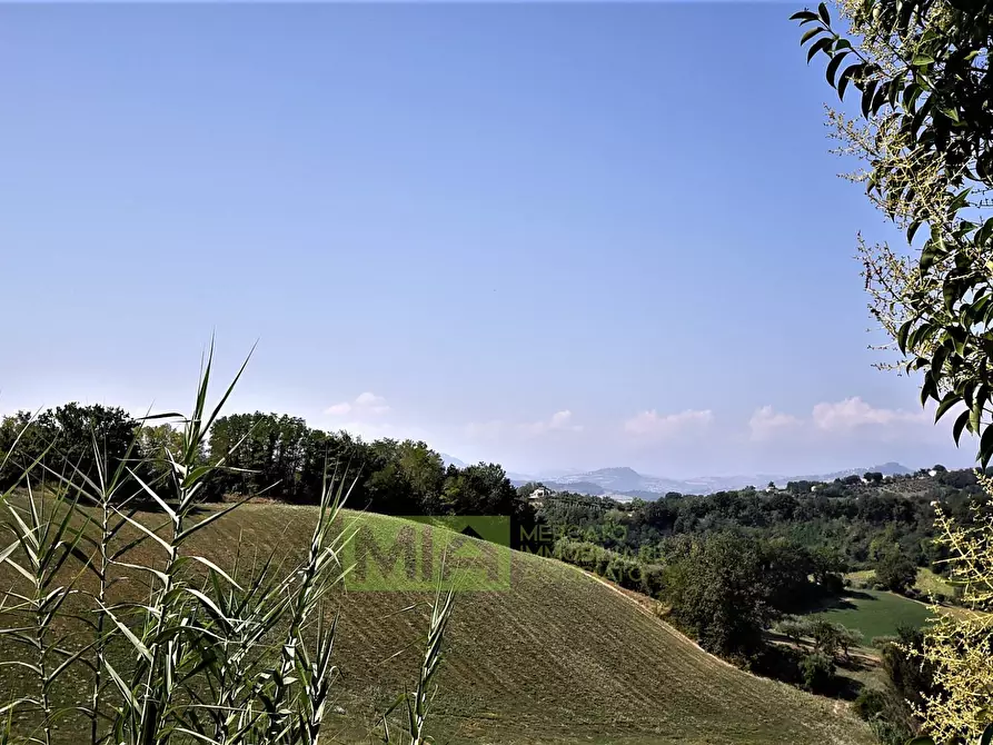 Immagine 29 di Villa in vendita  in contrada fegatara a Montegiorgio