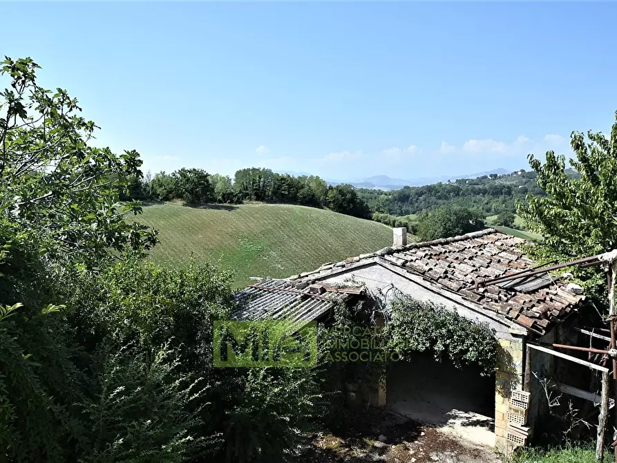 Immagine 24 di Villa in vendita  in contrada fegatara a Montegiorgio