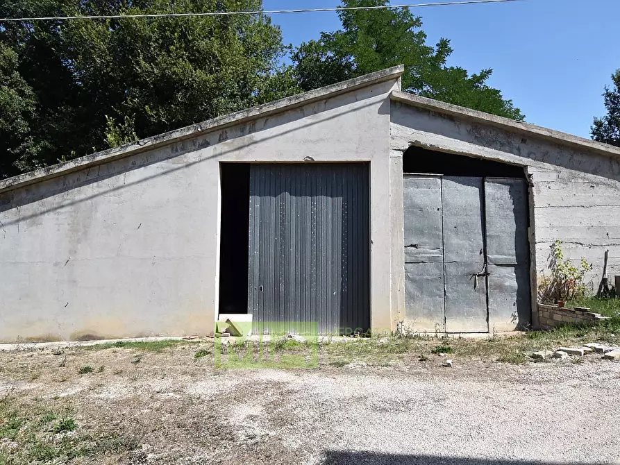 Immagine 25 di Villa in vendita  in contrada fegatara a Montegiorgio