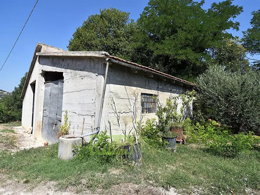 Immagine 26 di Villa in vendita  in contrada fegatara a Montegiorgio