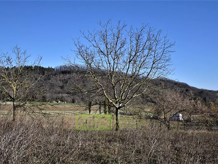 Immagine 4 di Terreno residenziale in vendita  in FRAZ CAMPANOTICO a Sarnano