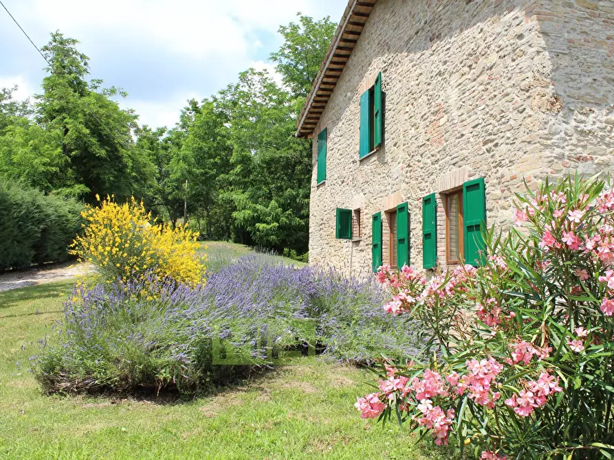 Immagine 29 di Rustico / casale in vendita  in VILLA VIDONI a Amandola