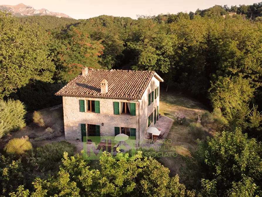 Immagine 30 di Rustico / casale in vendita  in VILLA VIDONI a Amandola