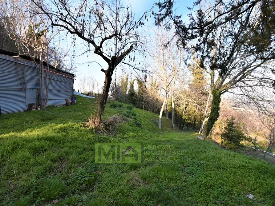Immagine 6 di Casa indipendente in vendita  in Contrada Le Grazie a Montelparo
