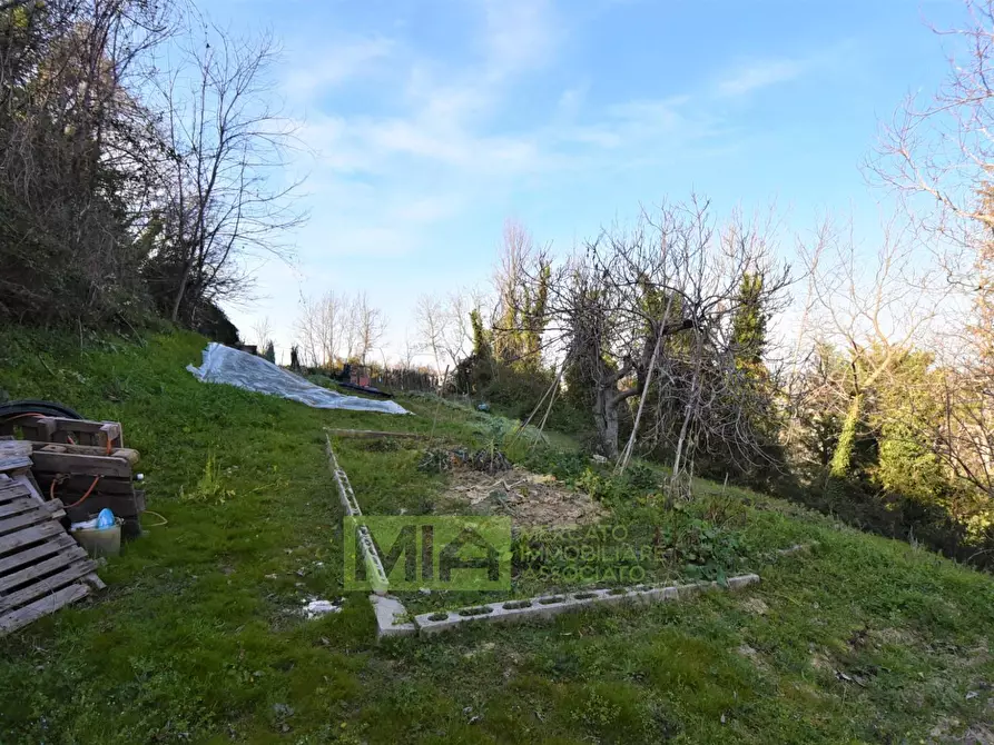 Immagine 7 di Casa indipendente in vendita  in Contrada Le Grazie a Montelparo