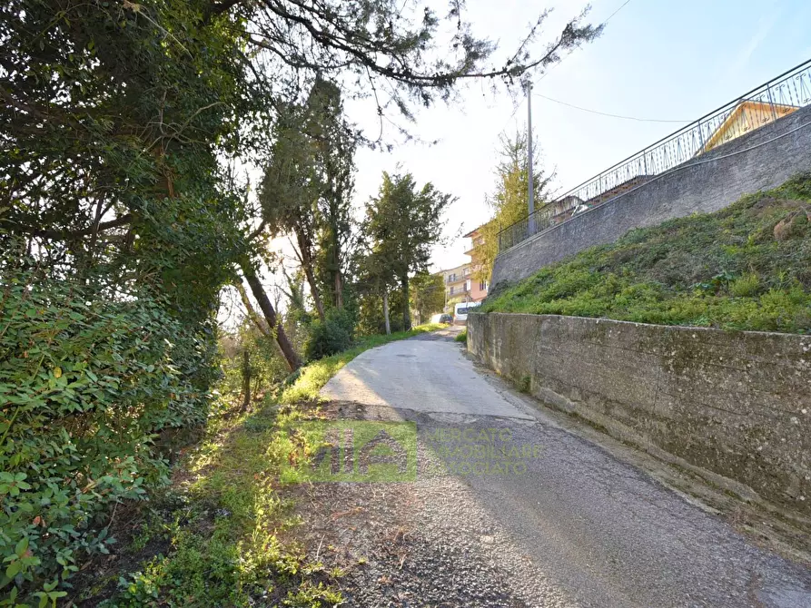 Immagine 23 di Casa indipendente in vendita  in Contrada Le Grazie a Montelparo