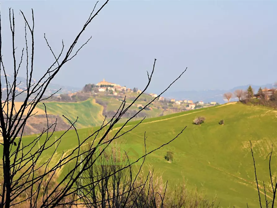 Immagine 29 di Casa indipendente in vendita  in Contrada Le Grazie a Montelparo