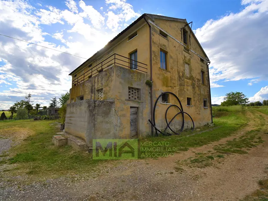 Immagine 3 di Rustico / casale in vendita  in Strada Piannenza a Sant'elpidio A Mare