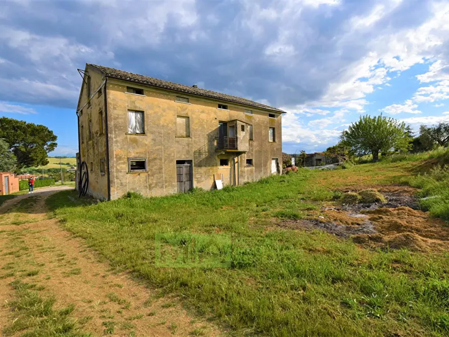 Immagine 5 di Rustico / casale in vendita  in Strada Piannenza a Sant'elpidio A Mare