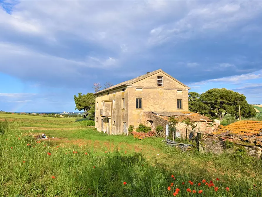 Immagine 2 di Rustico / casale in vendita  in Strada Piannenza a Sant'elpidio A Mare
