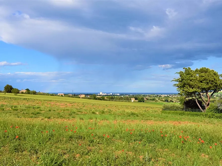 Immagine 10 di Rustico / casale in vendita  in Strada Piannenza a Sant'elpidio A Mare