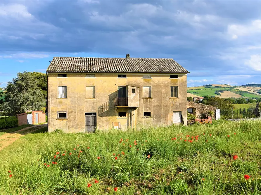 Immagine 14 di Rustico / casale in vendita  in Strada Piannenza a Sant'elpidio A Mare