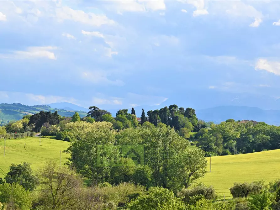 Immagine 15 di Rustico / casale in vendita  in Strada Piannenza a Sant'elpidio A Mare