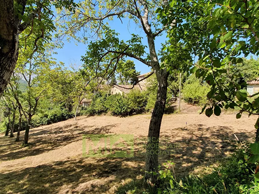 Immagine 3 di Rustico / casale in vendita  in LOCALITA' PIPPIEDE a Montefortino