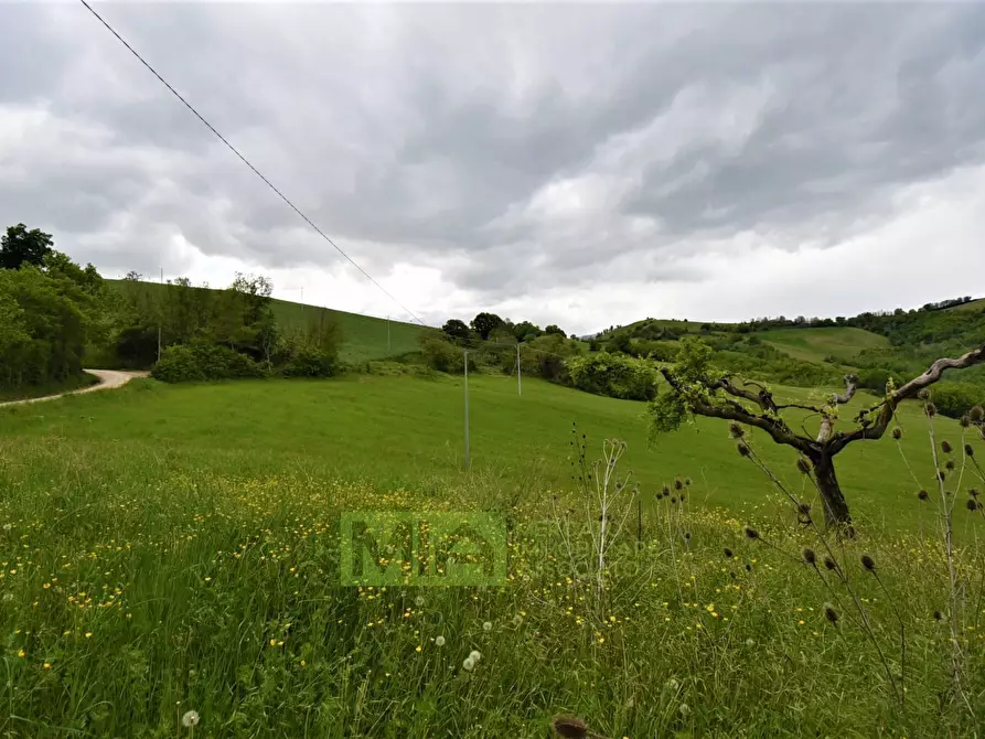 Immagine 29 di Rustico / casale in vendita  in Località Villa Caccianebbia a Amandola