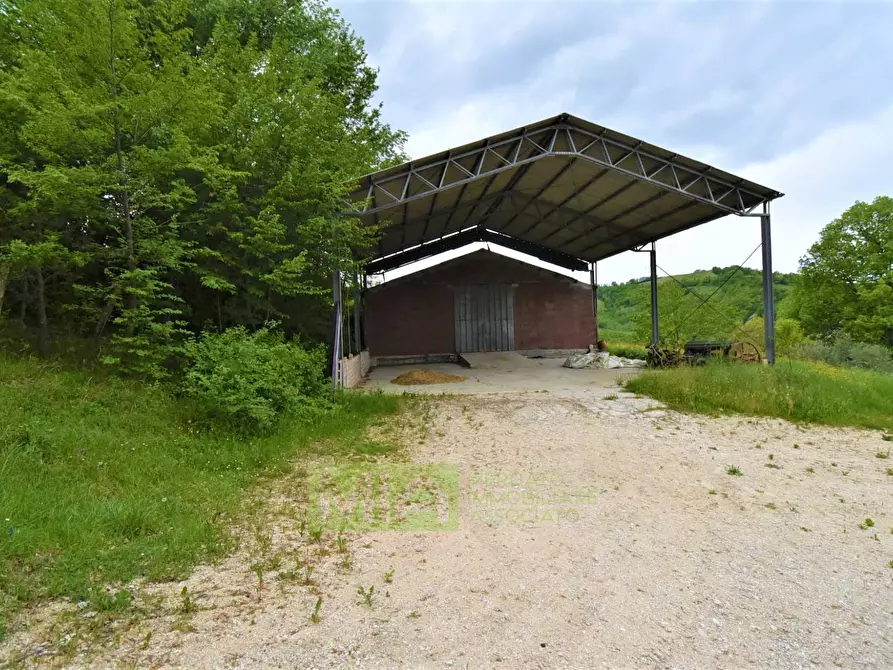 Immagine 24 di Rustico / casale in vendita  in Località Villa Caccianebbia a Amandola