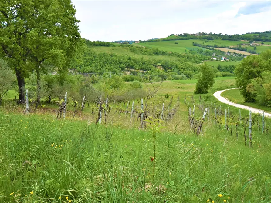 Immagine 30 di Rustico / casale in vendita  in Località Villa Caccianebbia a Amandola