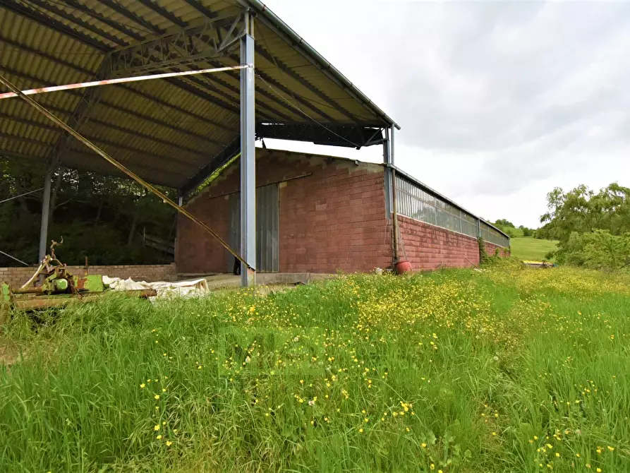 Immagine 23 di Rustico / casale in vendita  in Località Villa Caccianebbia a Amandola