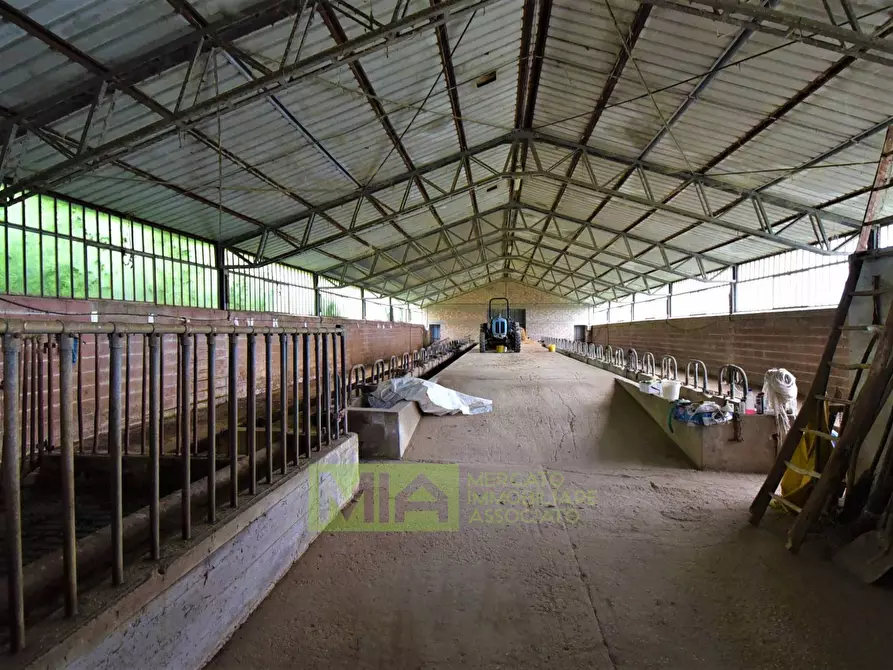 Immagine 21 di Rustico / casale in vendita  in Località Villa Caccianebbia a Amandola